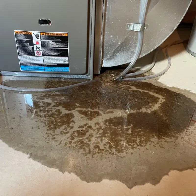 Appliance Leak Cleanup in Wheeler County, OR