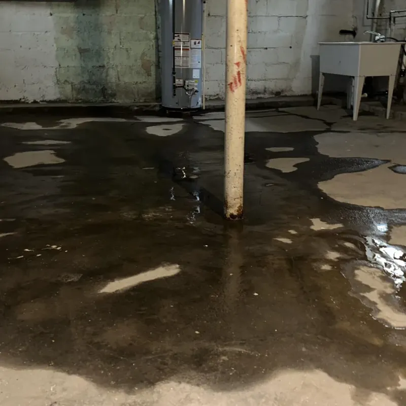 Emergency Water Extraction And Removal in Wheeler County, OR